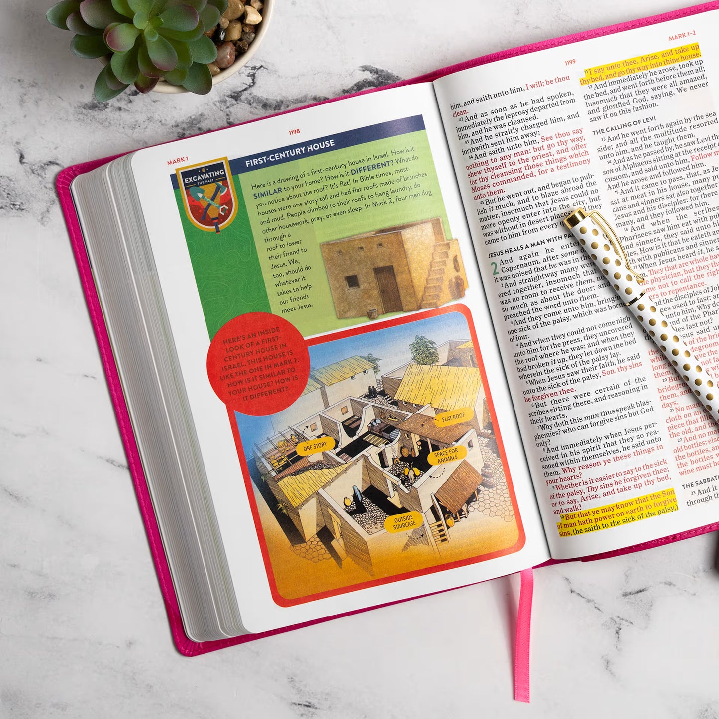 KJV Explorer Bible for Kids – Bubble Gum LeatherTouch (Full-Color Study Edition)