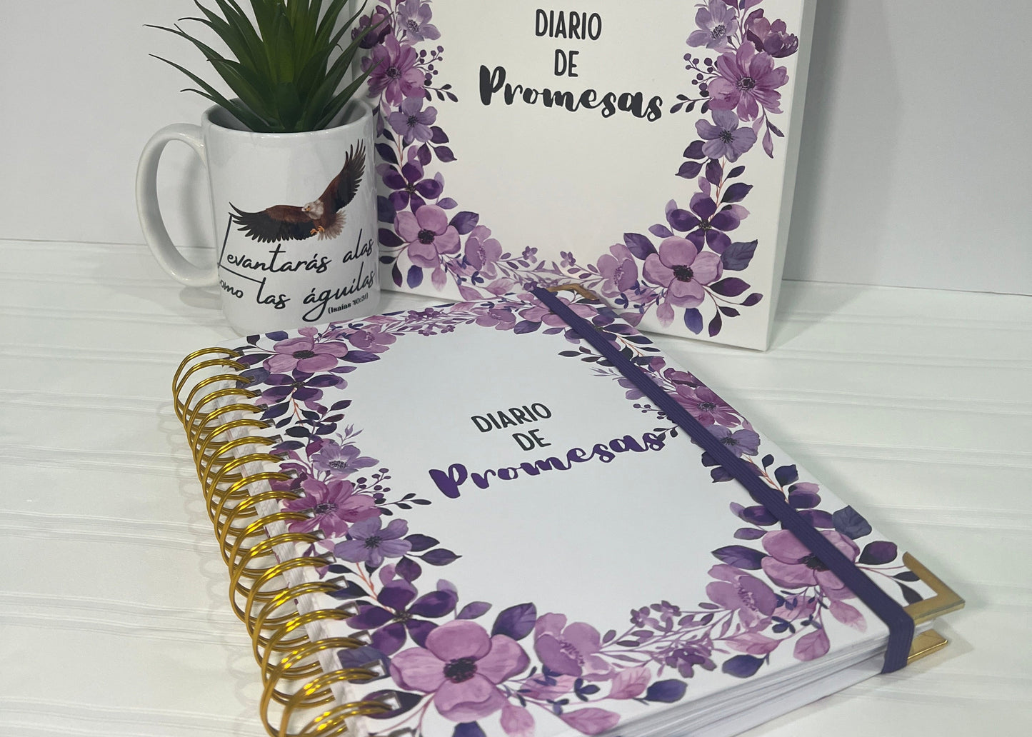 Diario de Promesas – Special Edition, Box and Front Cover