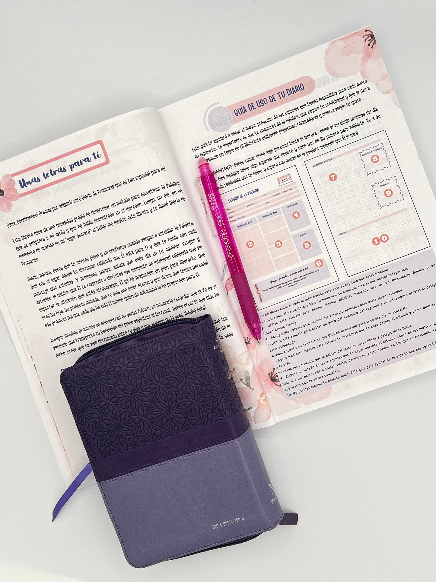 Bible Study – From God to Me: Pink Floral Edition Devotional Journal