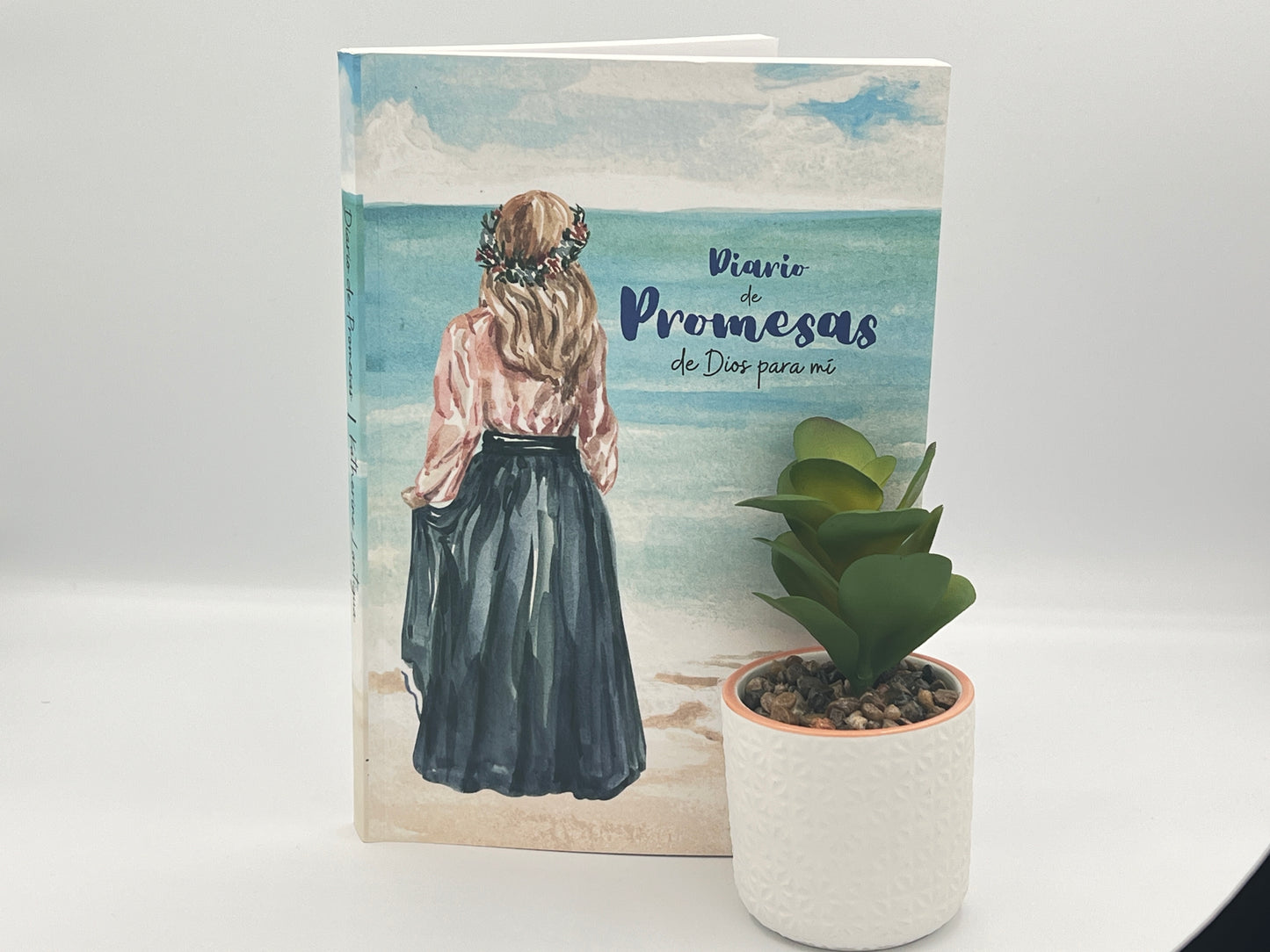 Diario de Promesas – Blue Edition, Cover