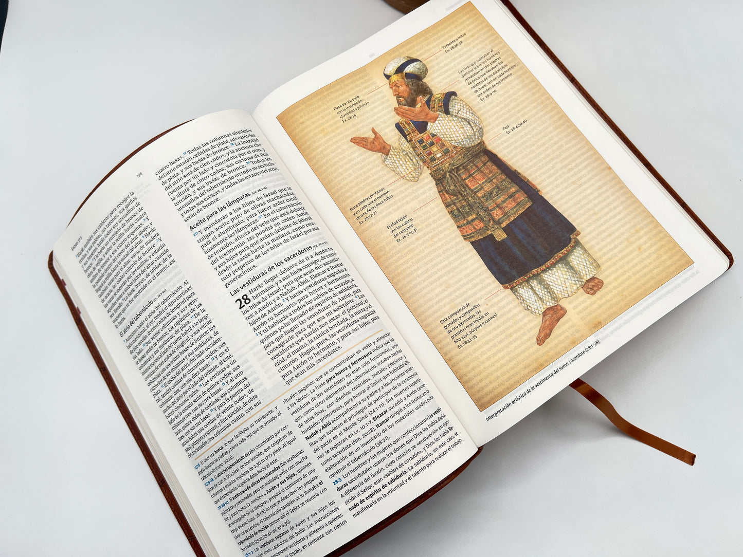 RVR 1960 Holman Study Bible – Brown Imitation Leather - Open Bible Exodus 28