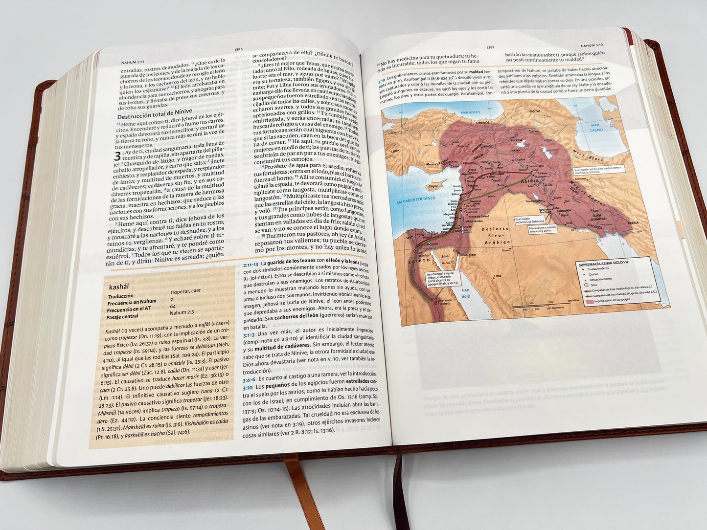 RVR 1960 Holman Study Bible – Brown Imitation Leather - Open Books maps