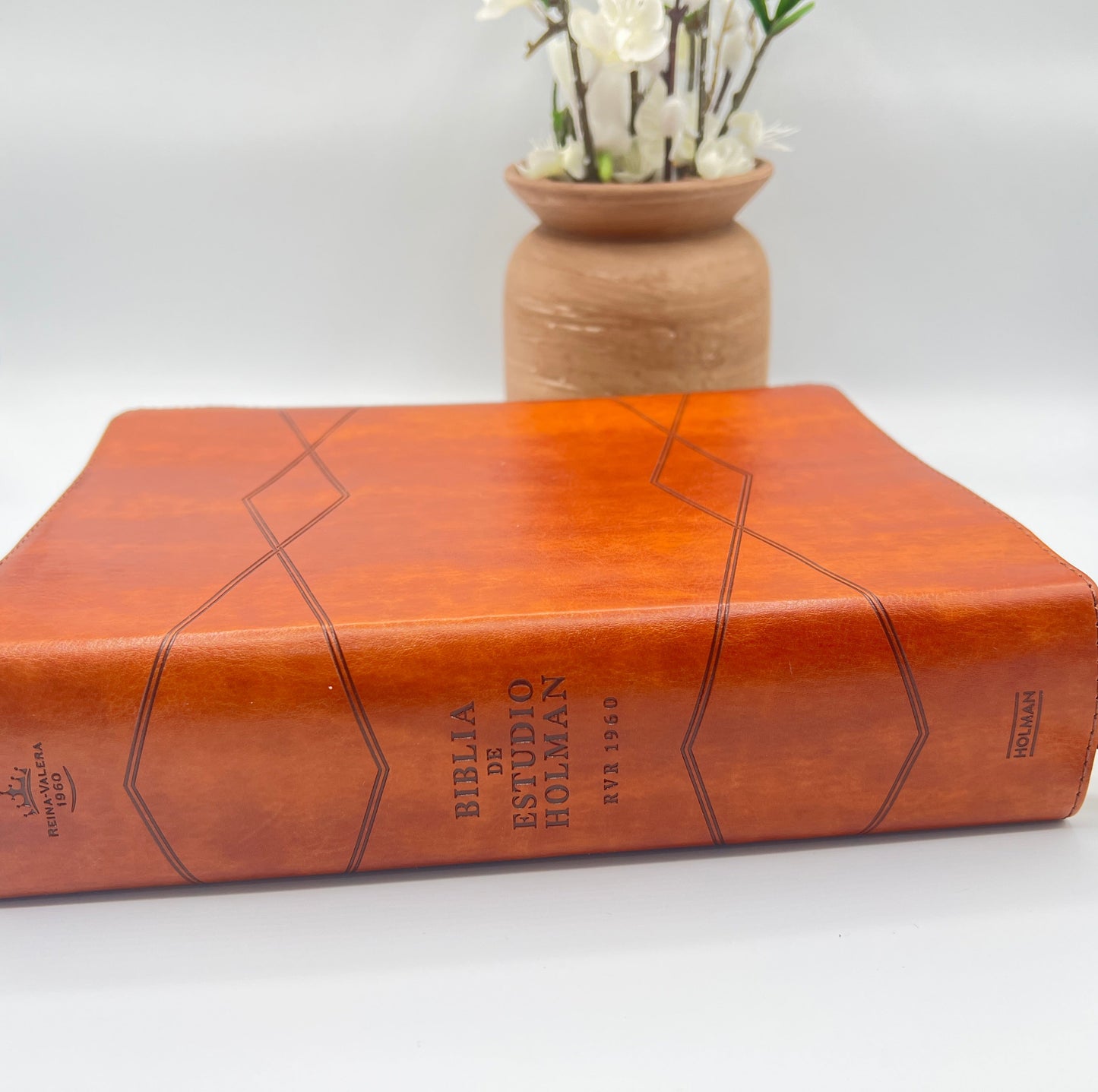 RVR 1960 Holman Study Bible – Brown Imitation Leather - Side