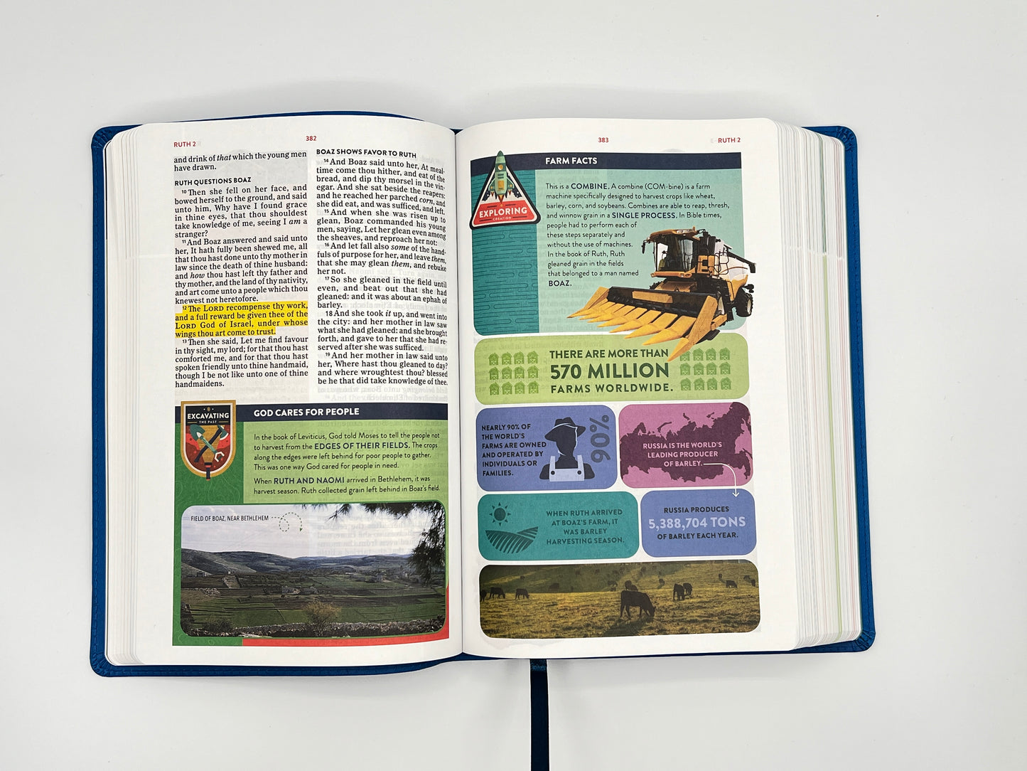KJV Explorer Bible for Kids – Royal Blue LeatherTouch (Full-Color Study Edition)