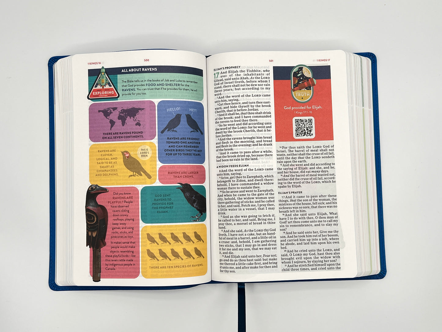 KJV Explorer Bible for Kids – Royal Blue LeatherTouch (Full-Color Study Edition)
