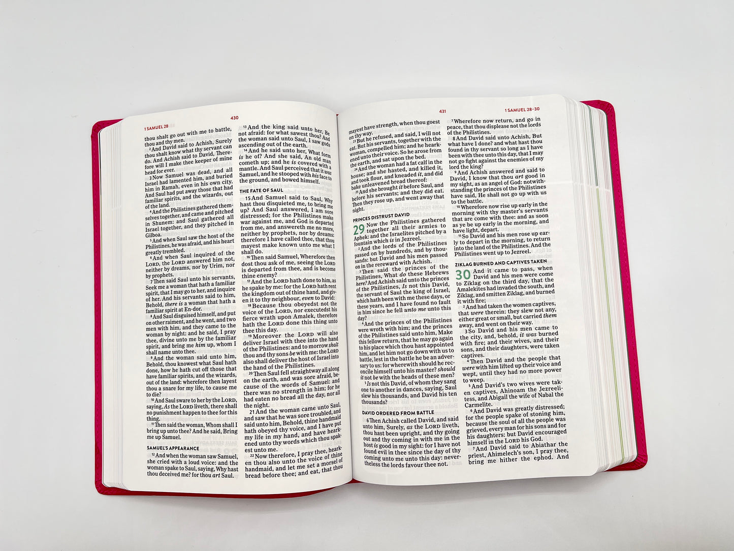 KJV Explorer Bible for Kids – Bubble Gum LeatherTouch (Full-Color Study Edition)