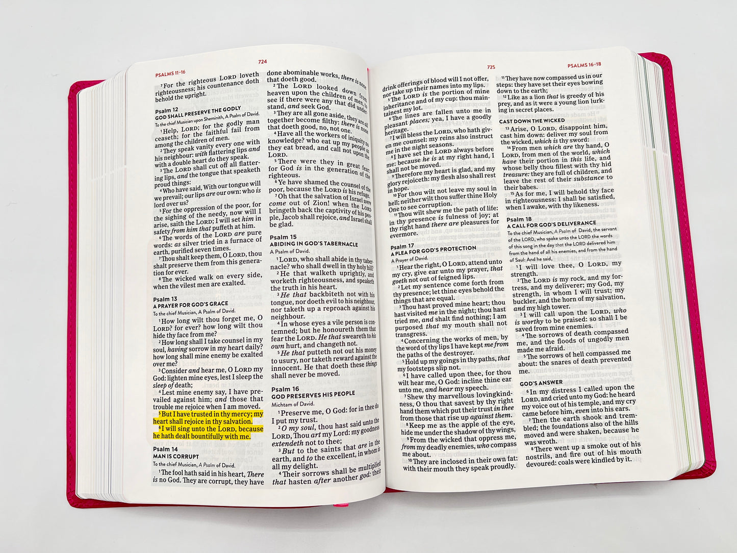 KJV Explorer Bible for Kids – Bubble Gum LeatherTouch (Full-Color Study Edition)