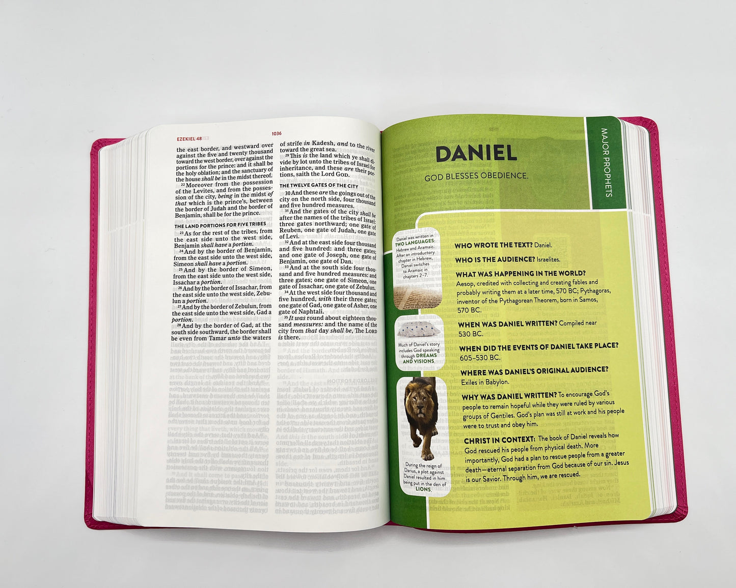 KJV Explorer Bible for Kids – Bubble Gum LeatherTouch (Full-Color Study Edition)