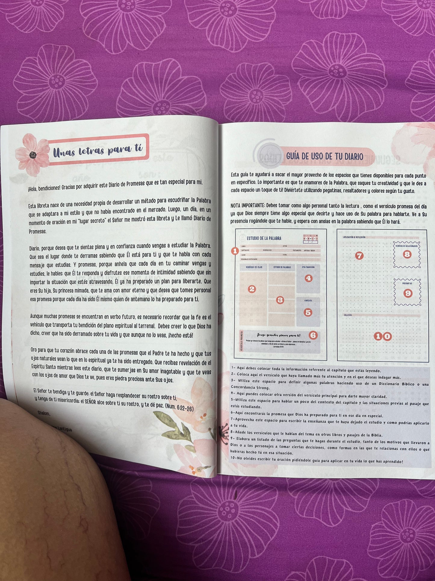 Diario de Promesas – Blue Edition, Guide Page