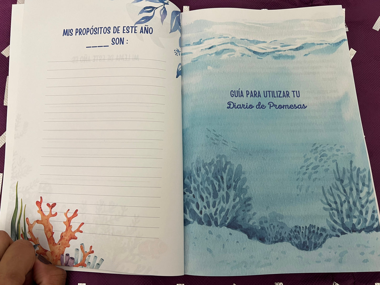 Diario de Promesas – Blue Edition, Purpose Page