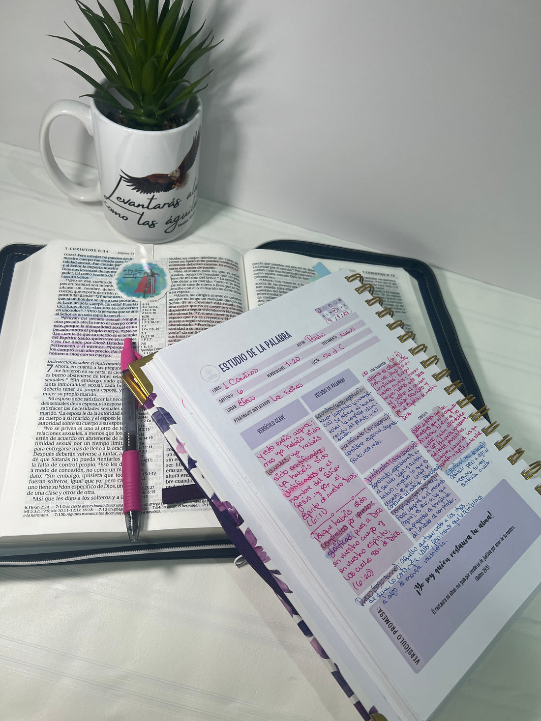 Descubre el Diario de Promesas Edición Especial: Un Tesoro Espiritual para Transformar tu Vida