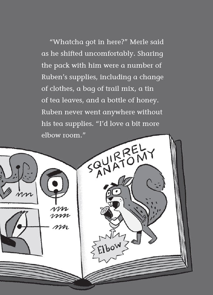 Book 10 –  Risky River Rescue – The Dead Sea Squirrels | Christian Adventure Story for Kids. Open book with cartoon squirrel illustration and text on a gray background