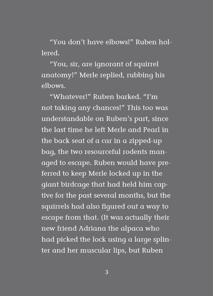 Book 10 –  Risky River Rescue – The Dead Sea Squirrels | Christian Adventure Story for Kids. Text on a gray background