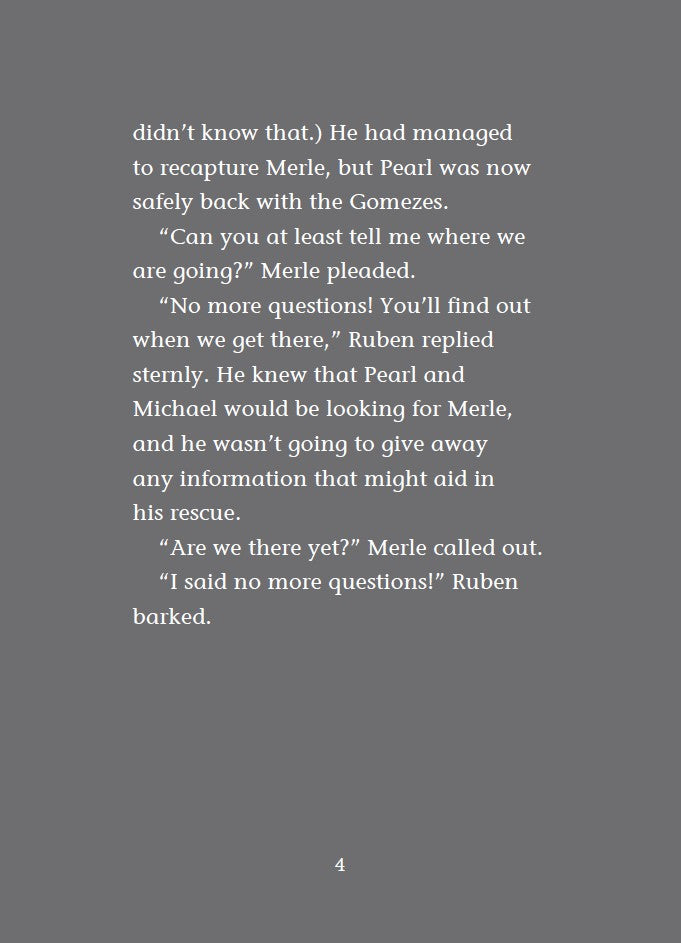 Book 10 –  Risky River Rescue – The Dead Sea Squirrels | Christian Adventure Story for Kids. Text on a gray background