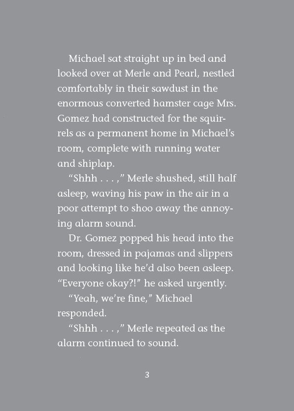 Book 6 – Whirly Squirrelies | The Dead Sea Squirrels Series – A Fun Christian Story About Self-Control and Friendship for Kids. Open book Text on a gray background