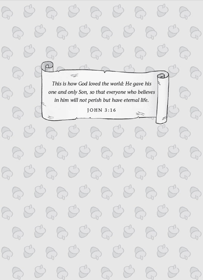 Book 9 – Jingle Squirrels – The Dead Sea Squirrels | Christian Christmas Adventure Story for Kids. Interior page with John 3:16 scripture on a decorative heart-patterned background – Dead Sea Squirrels Christian Christmas book for kids ages 6–10