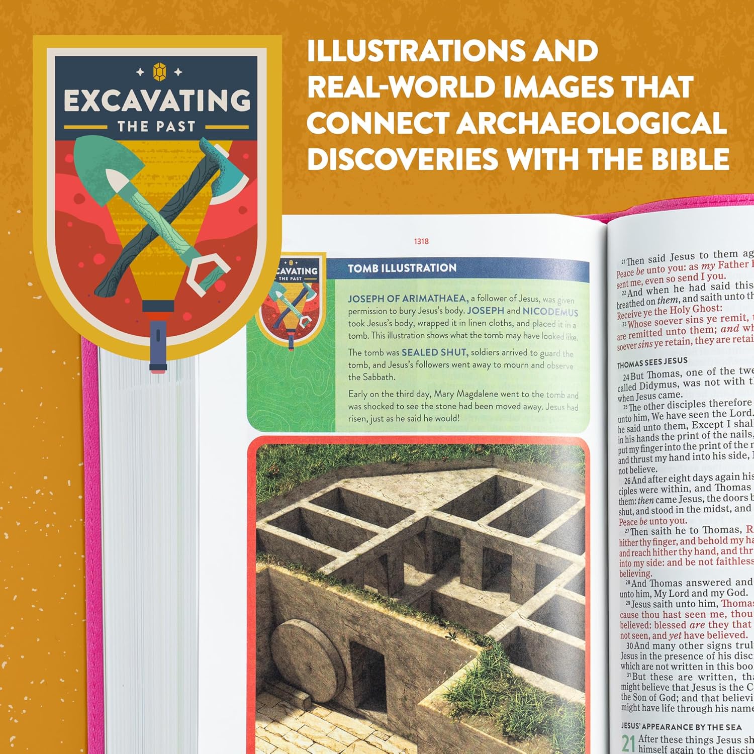 KJV Explorer Bible for Kids – Bubble Gum LeatherTouch (Full-Color Study Edition). Book Bible to a page about archaeological discoveries with illustrations