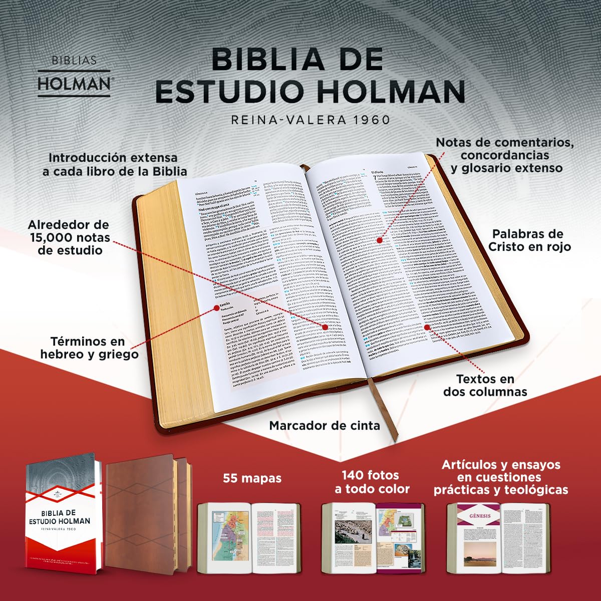 God Words – Study & Learn the Words of God | Bible Study Combo Set. Second view of the Bible from the God Words Combo Set – RVR 1960 Holman Study Bible in Spanish Christian Bible study combo for adults and teens
