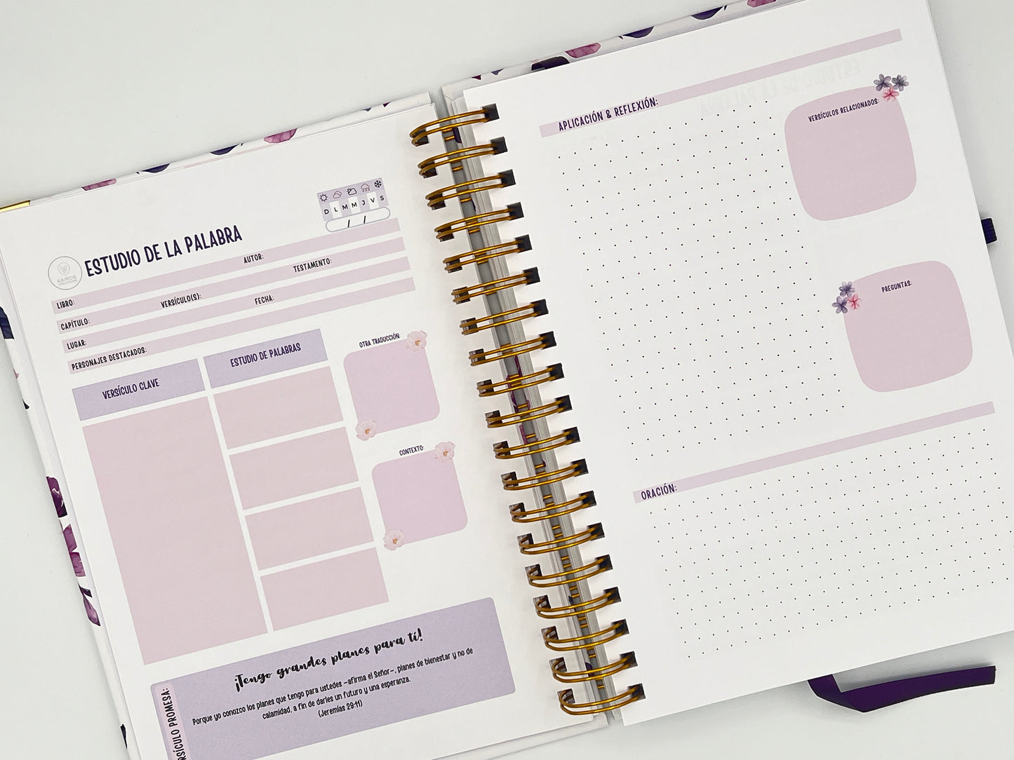 God Words – Study & Learn the Words of God | Bible Study Combo Set. God Words Diario devotional journal cover – Spanish-language Christian journal included in the God Words Bible Study Combo Set for adults and teens