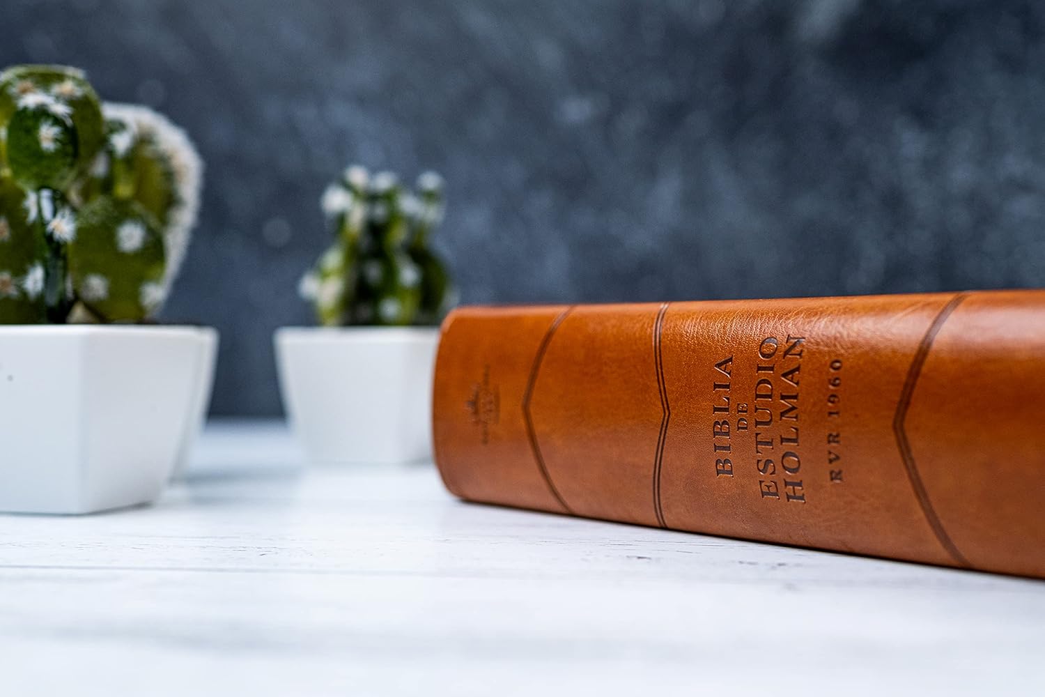 God Words – Study & Learn the Words of God | Bible Study Combo Set. Fourth view of the Bible from the God Words Combo Set – RVR 1960 Holman Study Bible in Spanish Christian Bible study combo for adults and teens