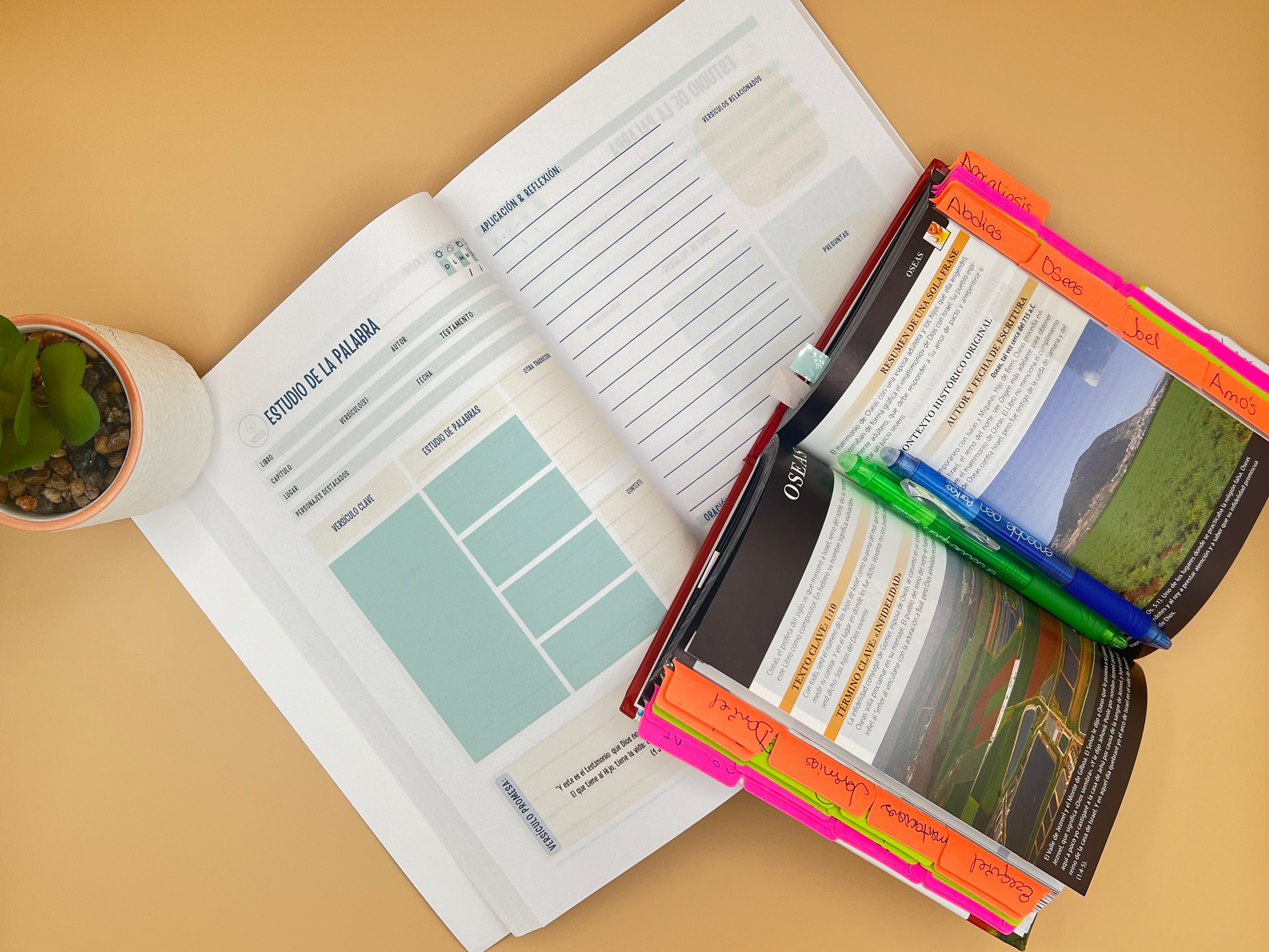Bible Study Journal for Men, Application page