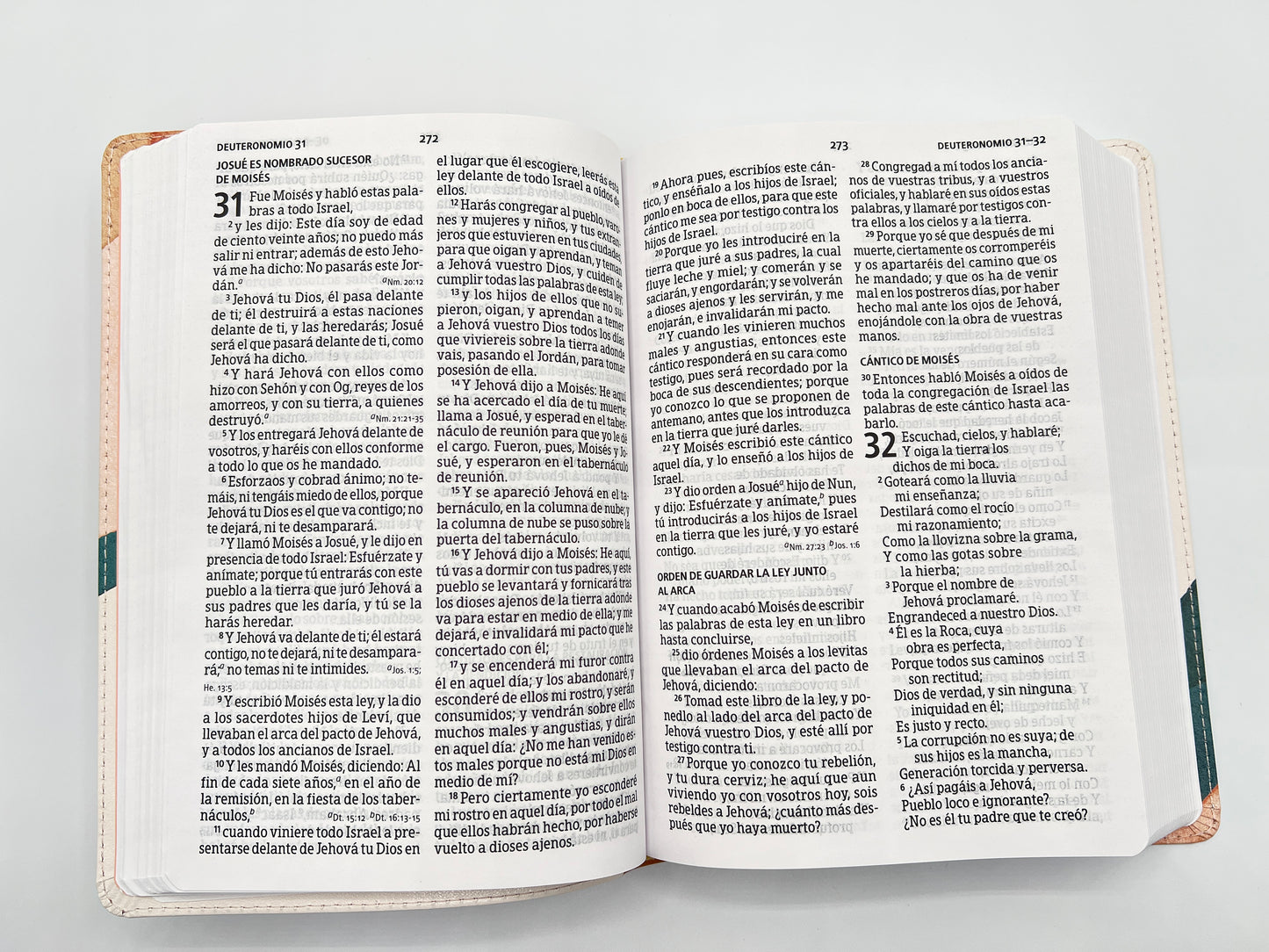 RVR 1960 Large Print Handy Size Bible – Special Watercolor Edition, Imitation Leather - Open Book
