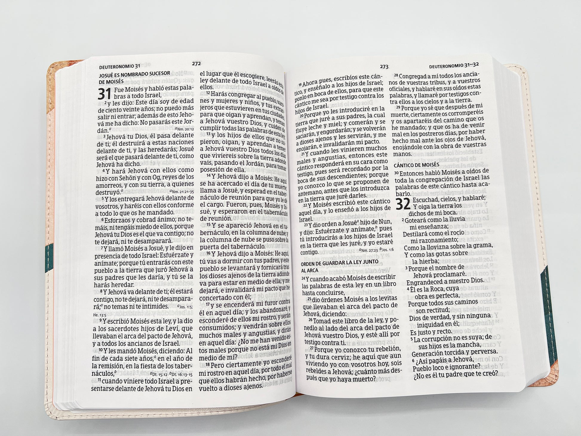 RVR 1960 Large Print Handy Size Bible – Special Watercolor Edition, Imitation Leather - Open Book