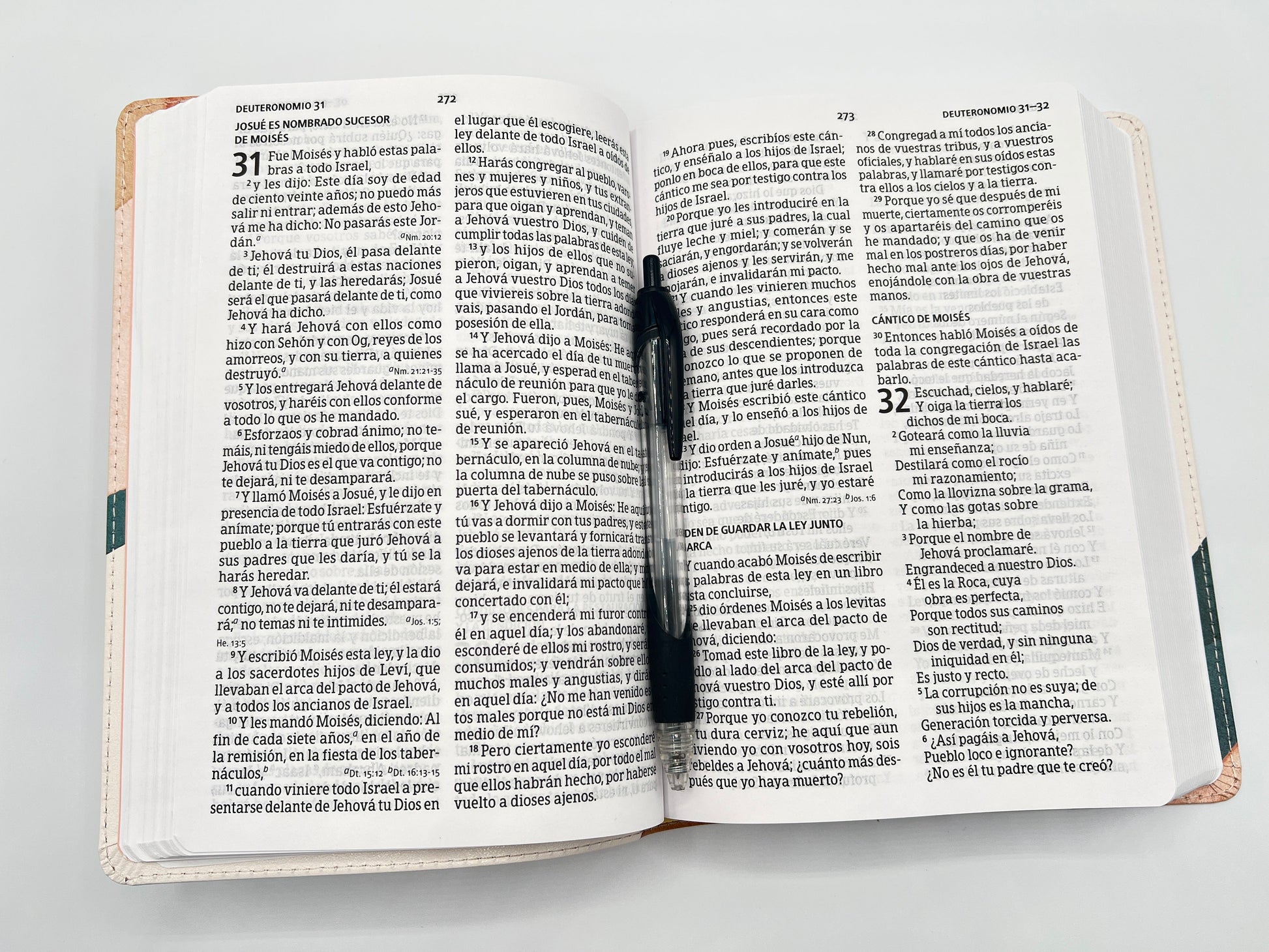 RVR 1960 Large Print Handy Size Bible – Special Watercolor Edition, Imitation Leather - Open Book 