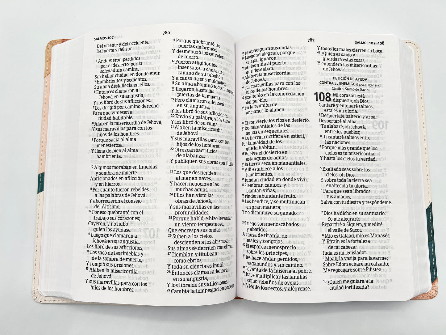 RVR 1960 Large Print Handy Size Bible – Special Watercolor Edition, Imitation Leather - Open books Psalms 