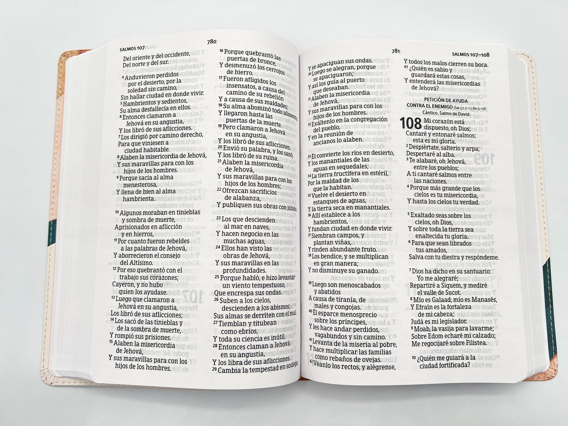 RVR 1960 Large Print Handy Size Bible – Special Watercolor Edition, Imitation Leather - Open books Psalms 