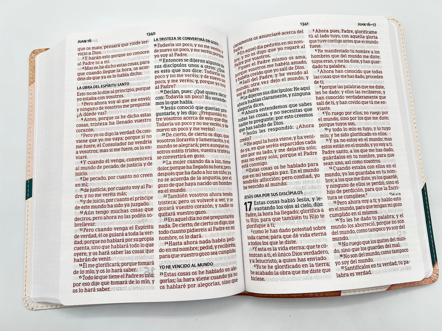 RVR 1960 Large Print Handy Size Bible – Special Watercolor Edition, Imitation Leather - Open Book