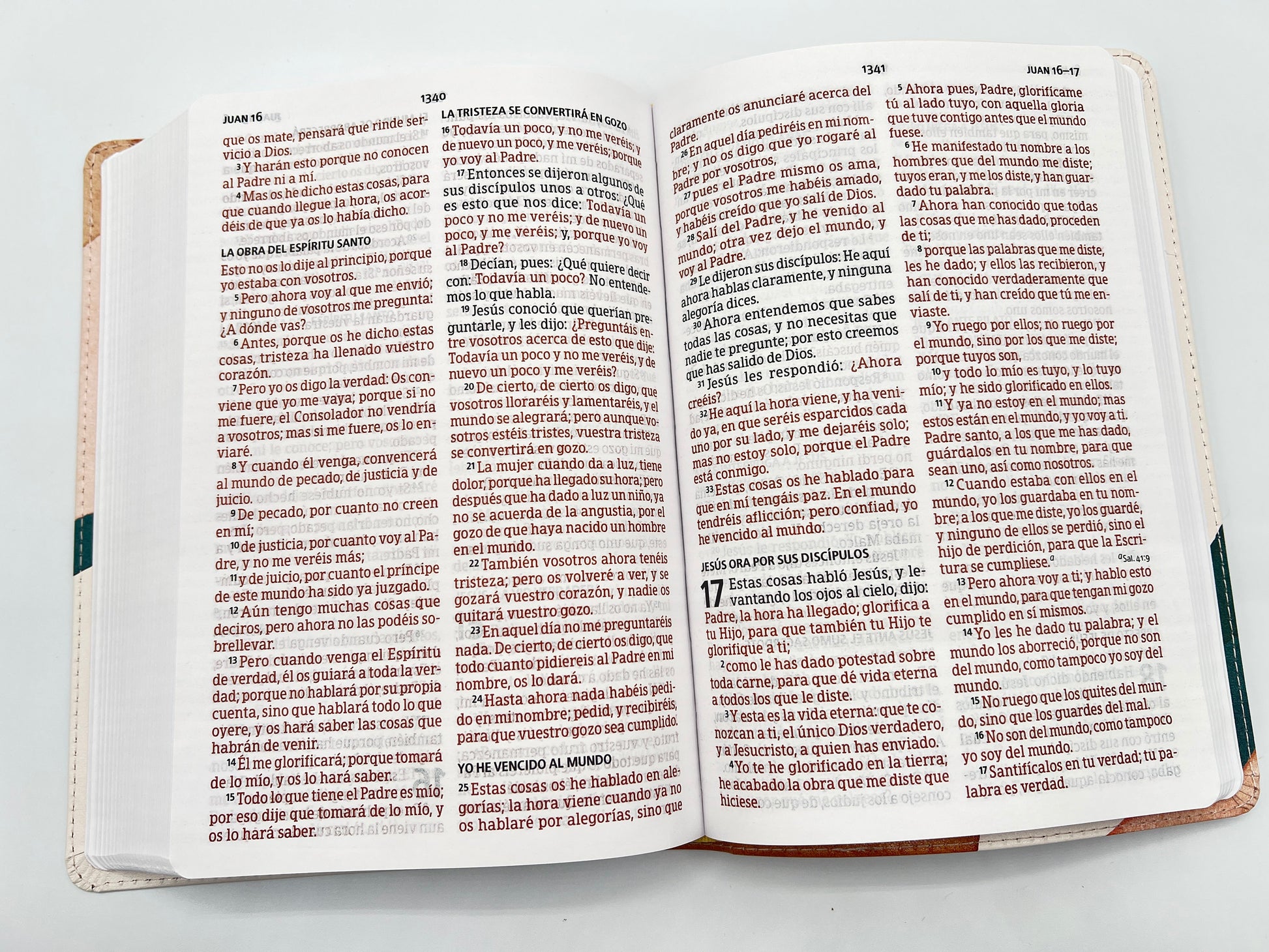 RVR 1960 Large Print Handy Size Bible – Special Watercolor Edition, Imitation Leather - Open Book