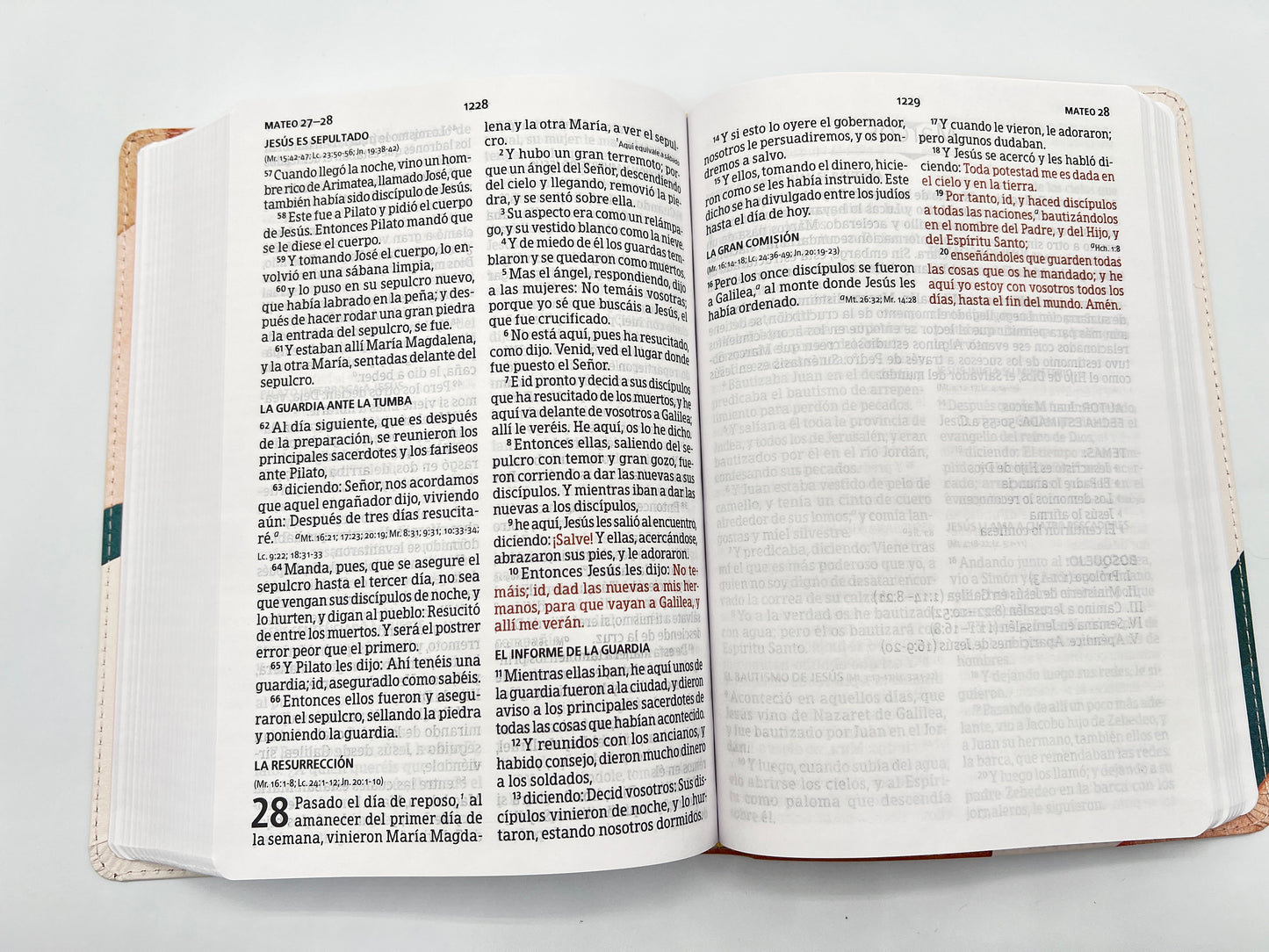 RVR 1960 Large Print Handy Size Bible – Special Watercolor Edition, Imitation Leather - Open book