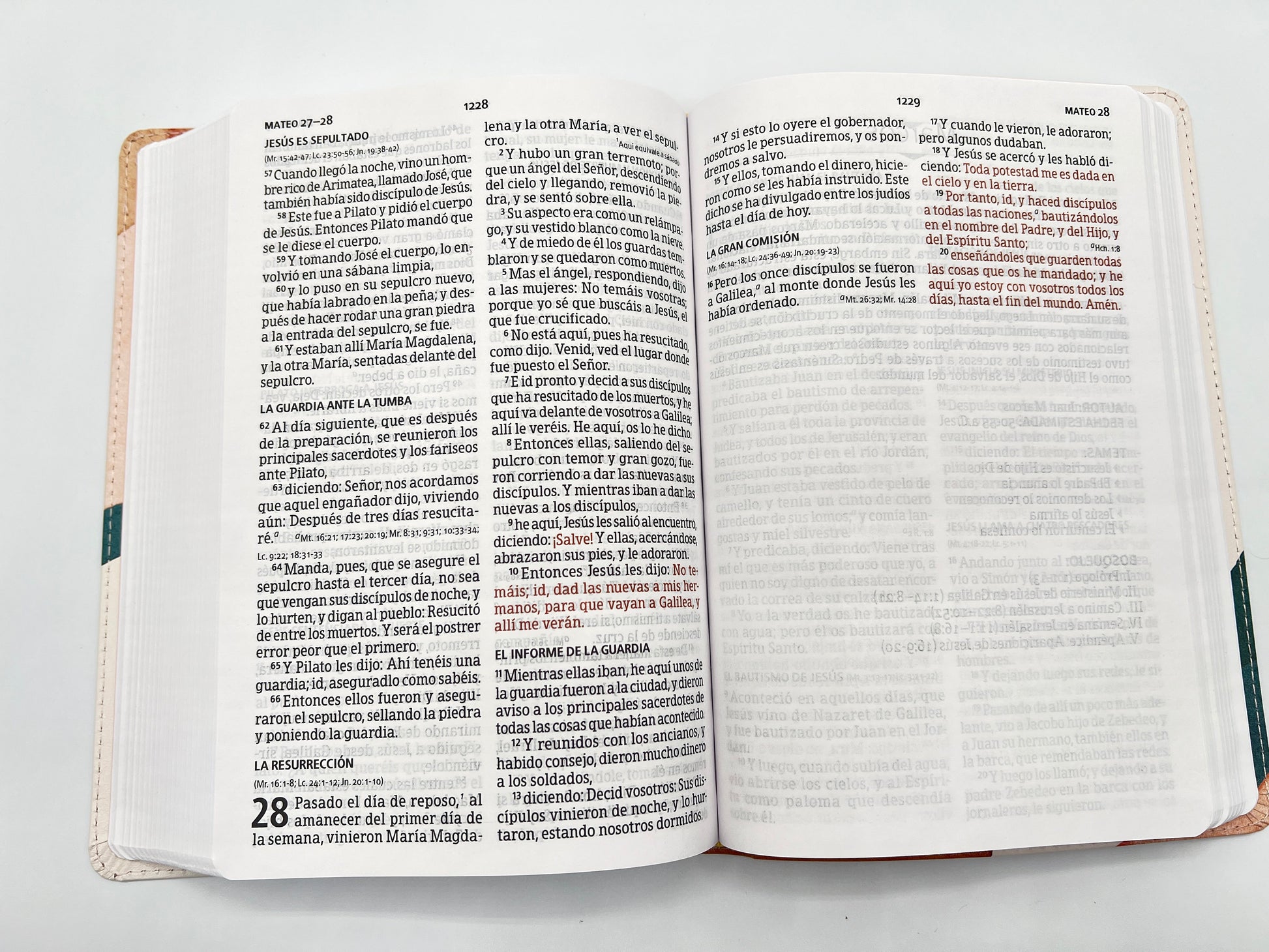RVR 1960 Large Print Handy Size Bible – Special Watercolor Edition, Imitation Leather - Open book