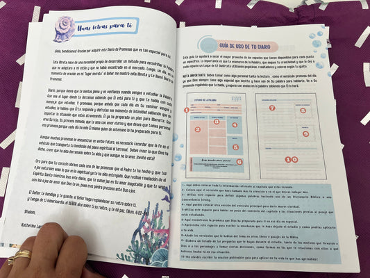 Diario de Promesas – Blue Edition, Guide Page