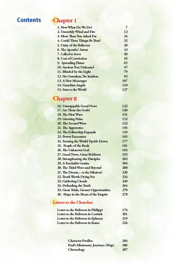 Manga Metamorphosis – Christian Manga Bible Story Book for Kids, Teens & Devotional Reading. Table of contents for a book or document with chapter titles and page numbers.