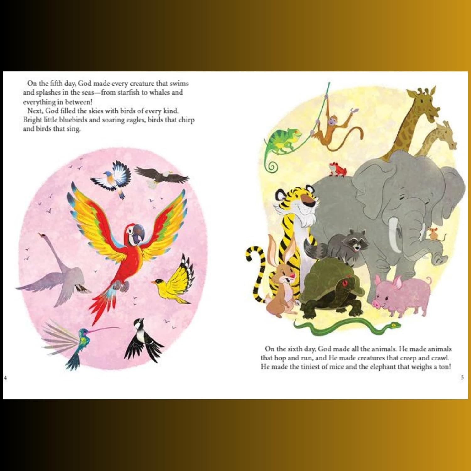 One Big Story – Bible Stories in 5 Minutes (Book #12) | Connecting Christ Through God’s Word – Padded Hardcover Edition. Genesis history