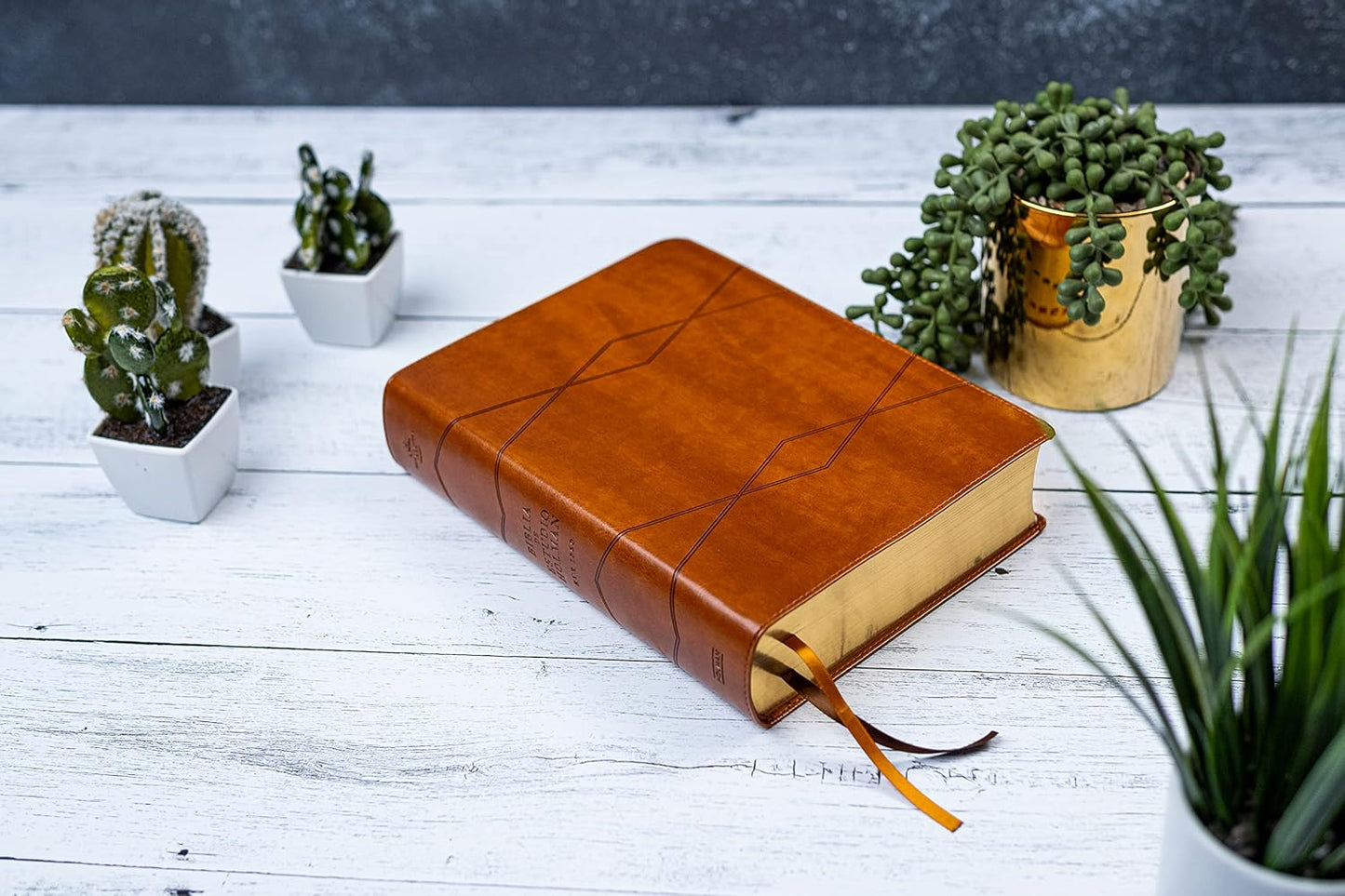 RVR 1960 Holman Study Bible – Brown Imitation Leather | Full-Color Spanish Study Edition. Brown leather Bible on a white wooden surface with potted plants.