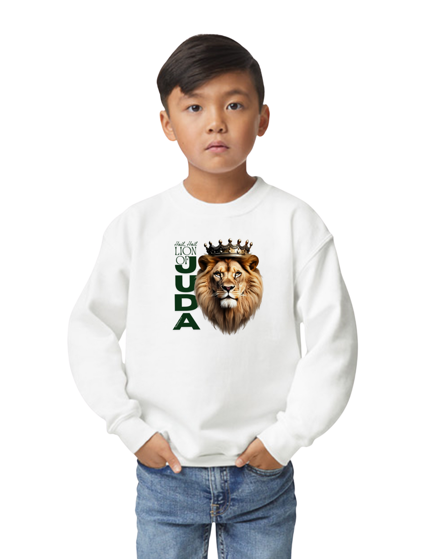 Child wearing a white sweatshirt with a lion graphic and text on a white background. LION OF JUDA