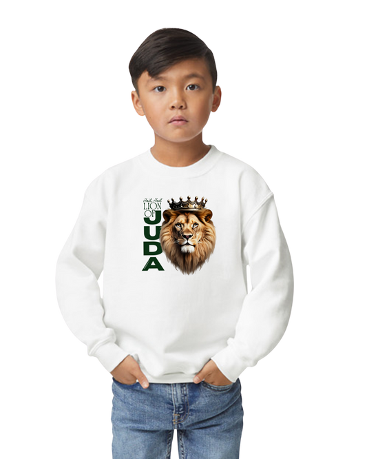Child wearing a white sweatshirt with a lion graphic and text on a white background. LION OF JUDA